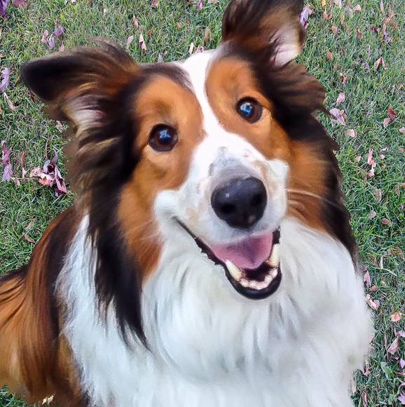 Meet your Posher, Jim - Picture 1 of 1